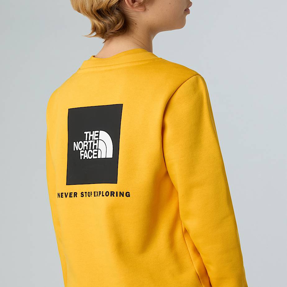 Teens' NSE Box Sweatshirt