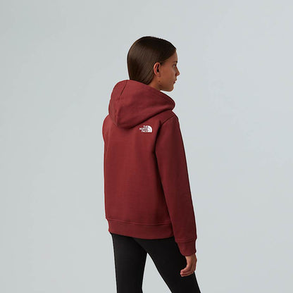 Teens' Drew Peak Pullover Hoodie
