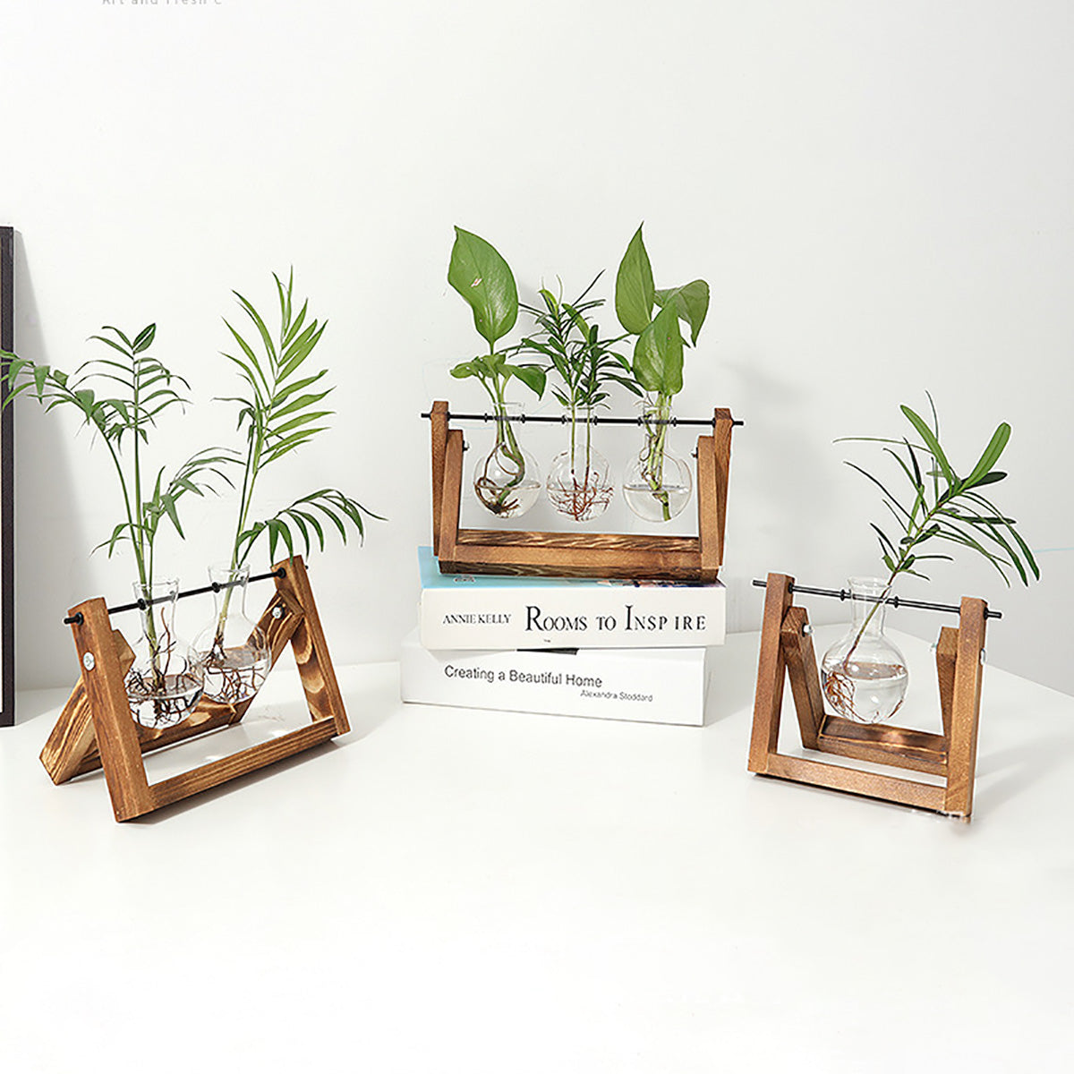 Chikalabs Plant Propagation Swing Stations Glass Terrarium