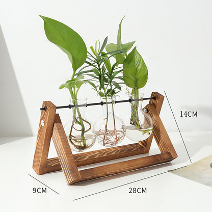 Chikalabs Plant Propagation Swing Stations Glass Terrarium