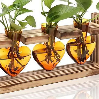 Chikalabs Brown Heart Plant Propagation Stations Glass Terrarium