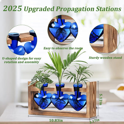 Chikalabs Blue Heart Plant Propagation Stations Glass Terrarium