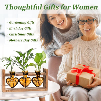 Chikalabs Brown Heart Plant Propagation Stations Glass Terrarium