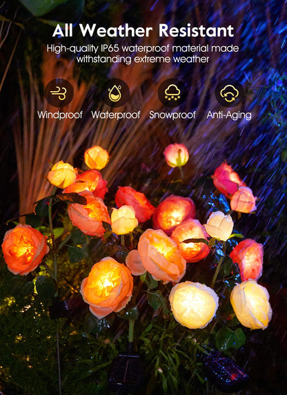 💐Chikalabs Garden Rose Solar Flower Lights