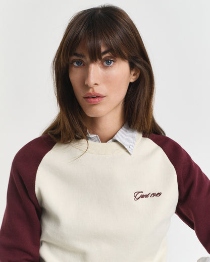 Color Blocked Crew Neck Sweater