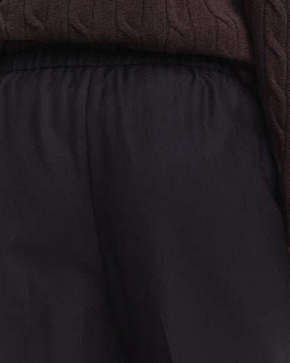 Wool Blend Pull-On Pants